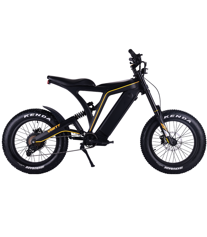 VSETT EAGLE|Occasion vélo électrique