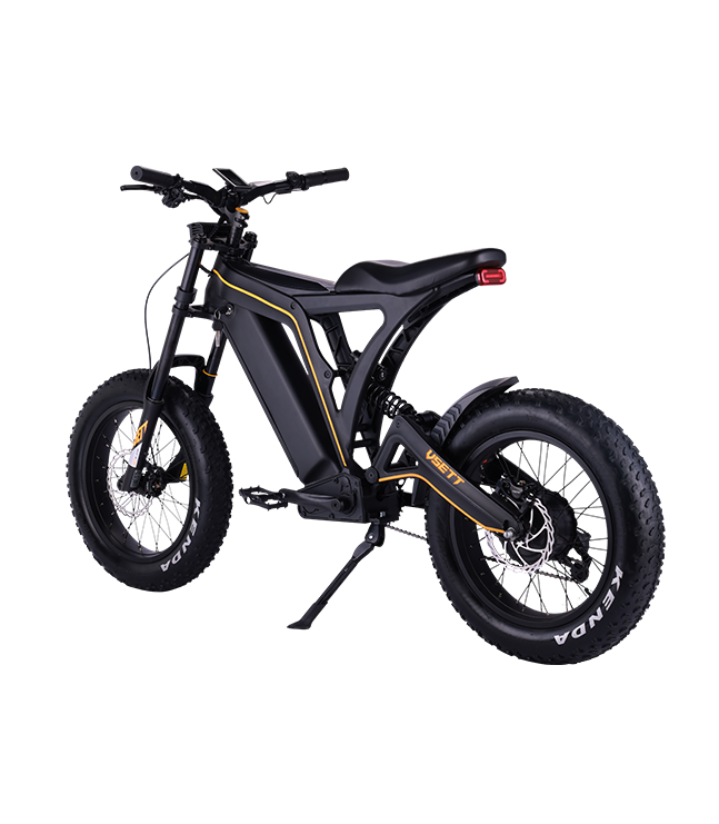 VSETT EAGLE|Occasion vélo électrique