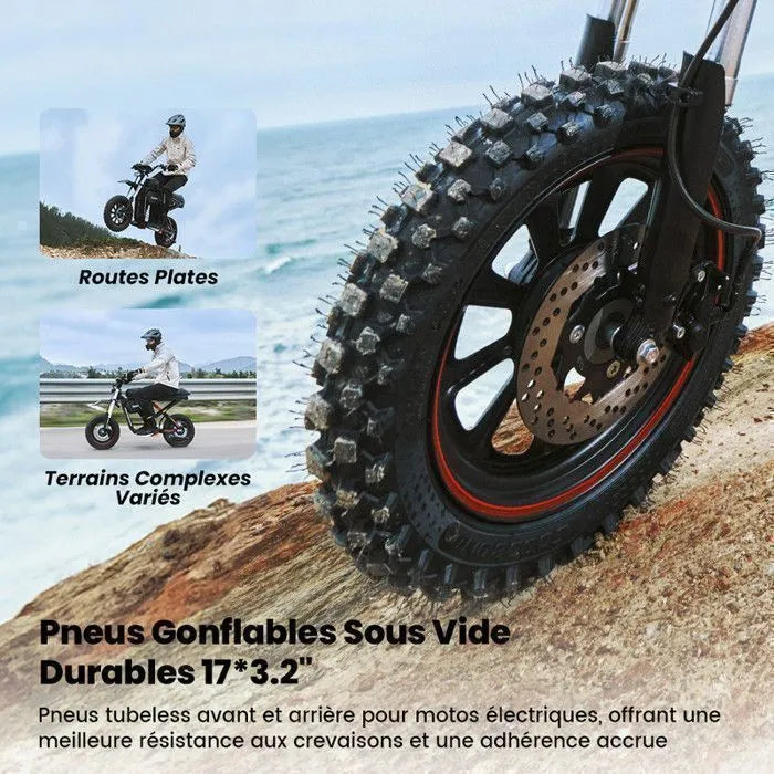 DX5 MAX iscooter|Vélo Électrique tout-terrain