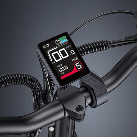 ENGWE LE20｜ cargo électrique