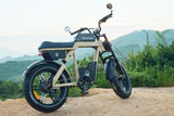 APERYDER BABOON｜Fatbike électrique