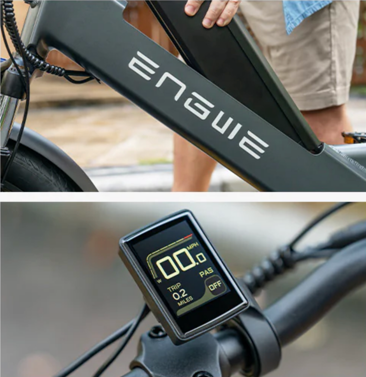 ENGWE LE20｜ cargo électrique