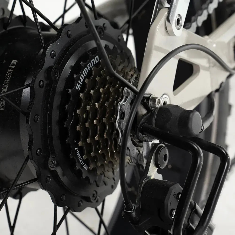 DIABLO ZIPPER｜Fatbike électrique