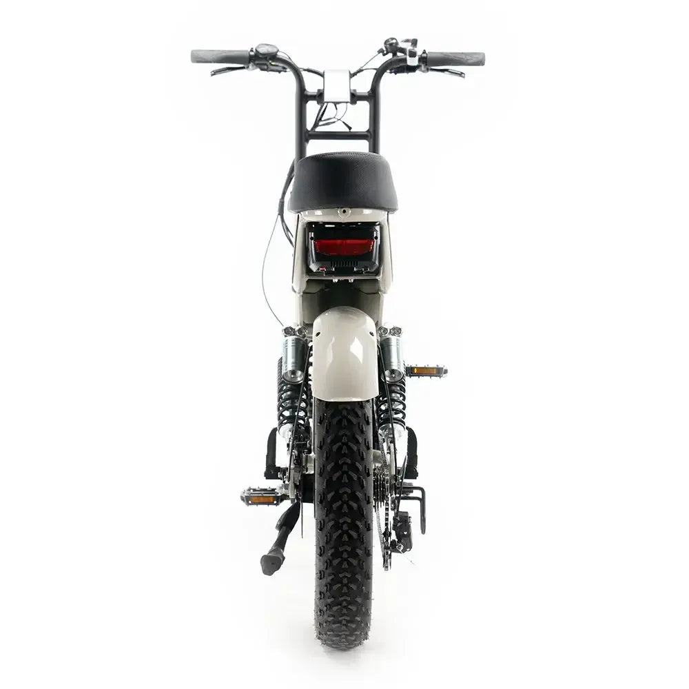 DIABLO ZIPPER｜Fatbike électrique