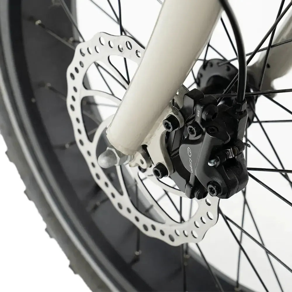 DIABLO ZIPPER｜Fatbike électrique