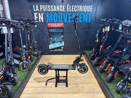 DUALTRON MINI - Occasion