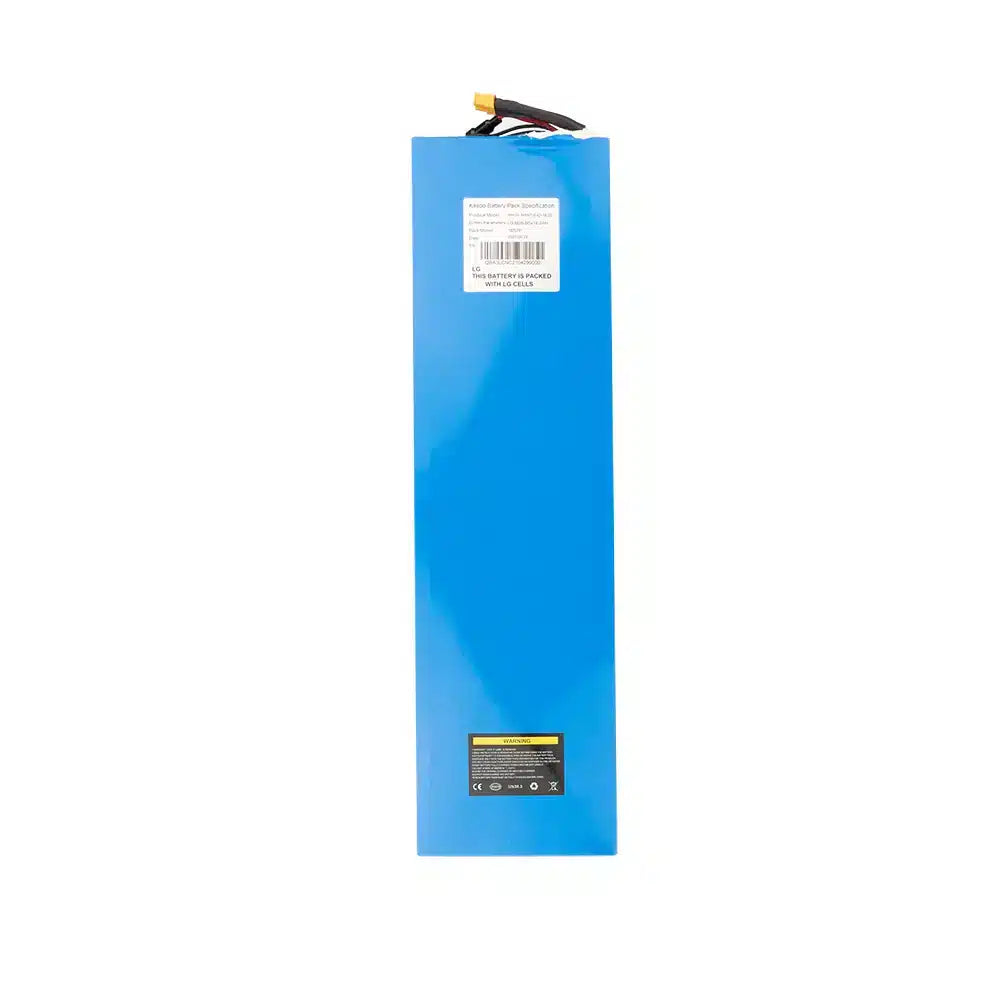 BATTERIE VSETT10+｜60V 20.8AH