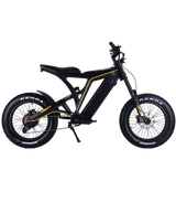 VSETT EAGLE｜Occasion vélo électrique