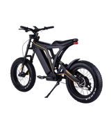 VSETT EAGLE｜Occasion vélo électrique