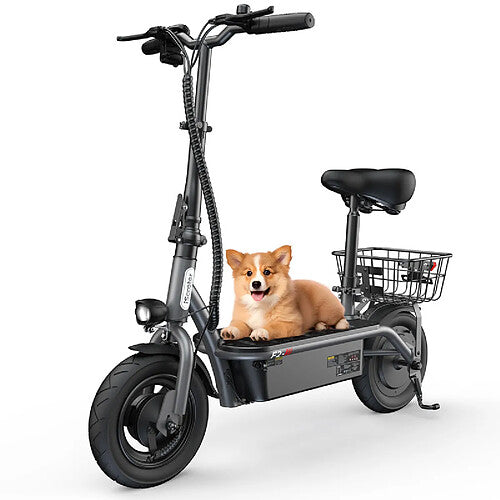iSCOOTER F2｜Trottinette Électrique