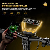 GT4 ｜Trottinette électrique tout-terrain