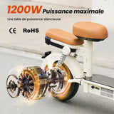 Y16 iScooter｜Trottinette Électrique